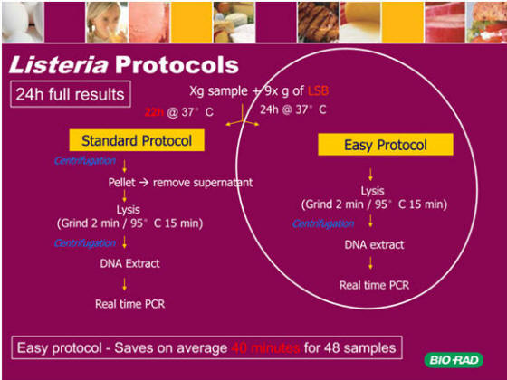 L.mono Protocol