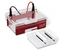 Compact M